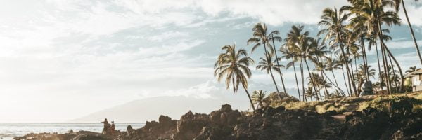 Hawaii travel coming back a bit