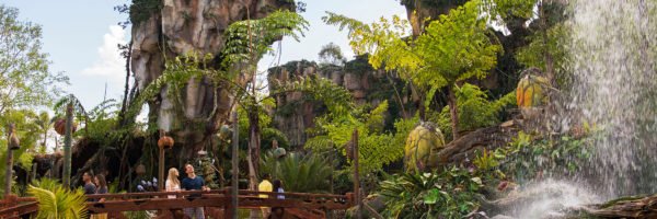 How to spend the night in Disney’s Avatar theme park